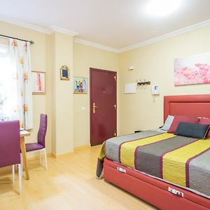 Deluxe Studio met een King Size Bed